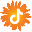 TikTok Link