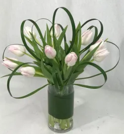 Flower Spotlight: Tulips