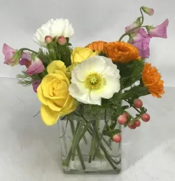 Flower spotlight: anemone