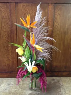 Flower Spotlight: Tropicals