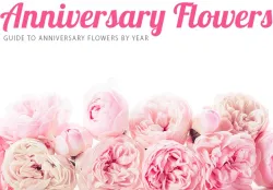 Anniversary Flowers: What Should You Give?