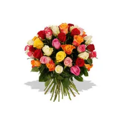 Choosing The Right Roses For Any Occasion