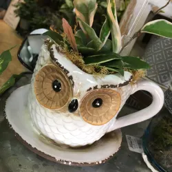 Unique vases and containers for cut fresh flowers