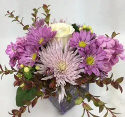 Flower spotlight: chrysanthemums 
