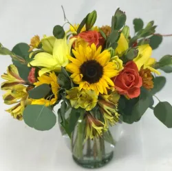 Flowers and gifts for the Leo in your life
