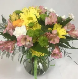 Flower spotlight: alstroemeria 