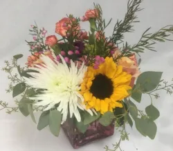 Flower spotlight: spider mums