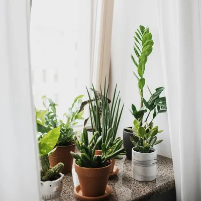 All Products