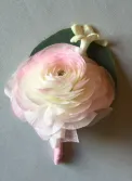 delicate bride