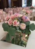 delicate bride