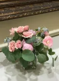 delicate bride