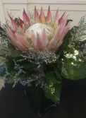 King Protea