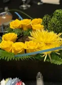 pods and yellow