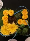pods and yellow