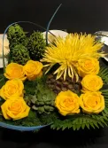 pods and yellow