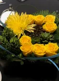 pods and yellow