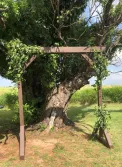 Natural Love
