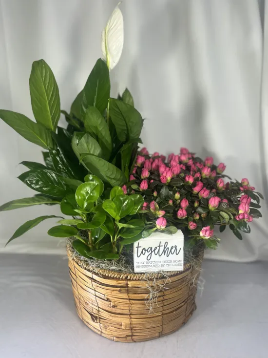 combo-plant basket