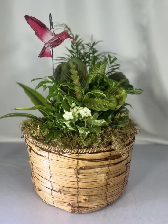 blooming basket