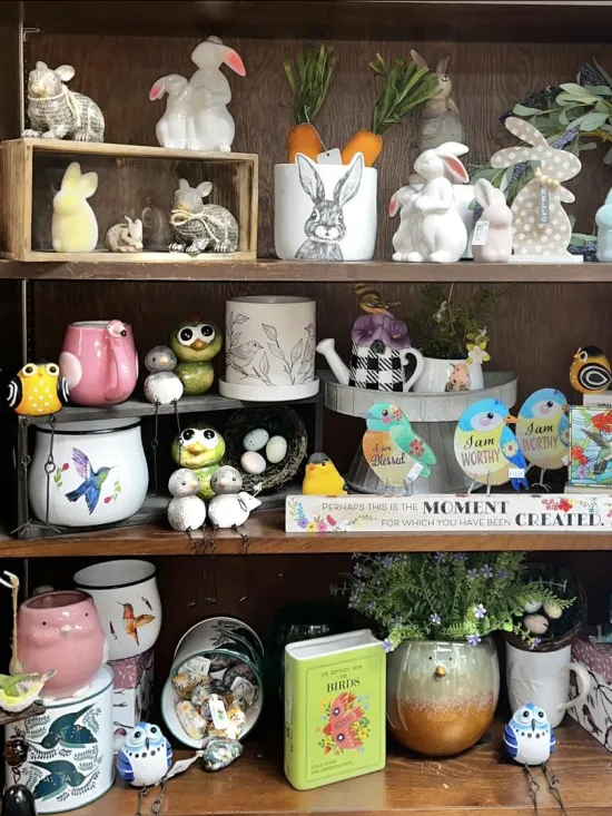 Birds and Bunnies