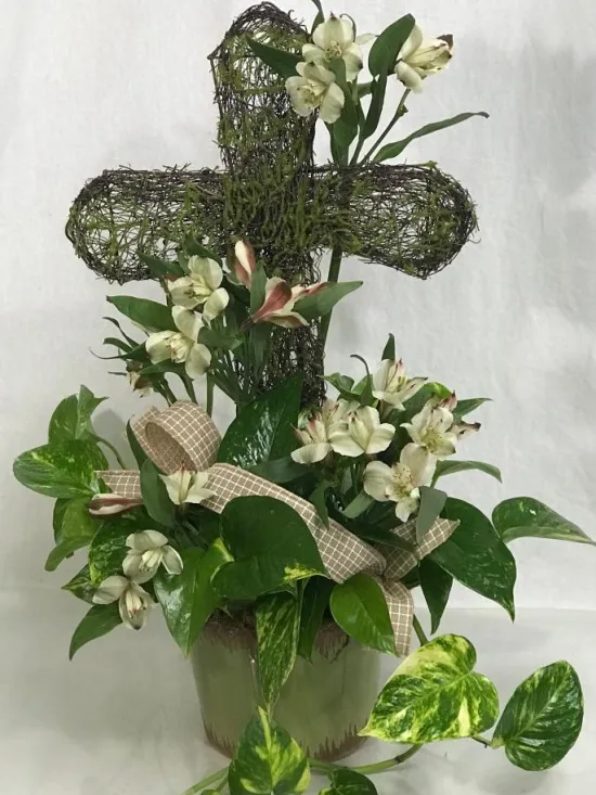 Pothos Ivy with cross