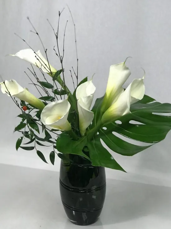 Calla Lilies