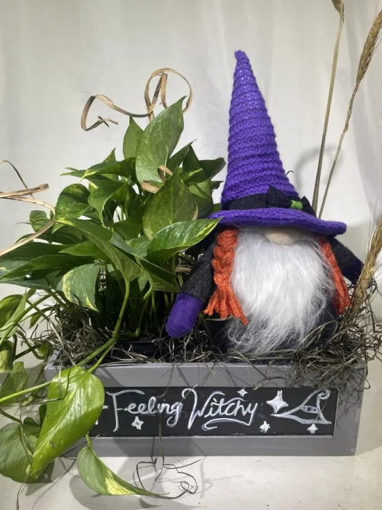 Feeling Witchy