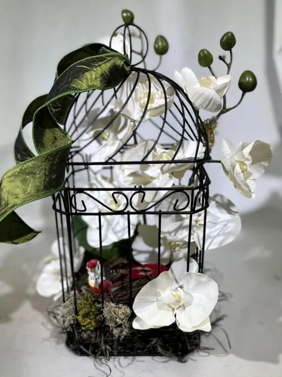orchid cage