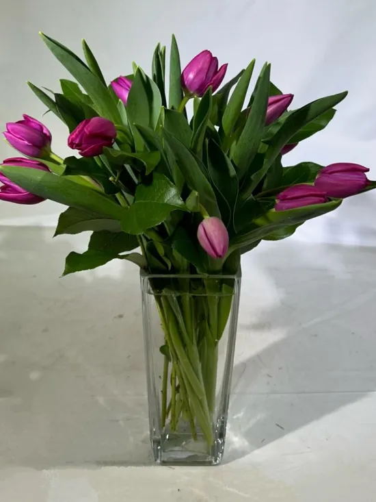 10 tulips