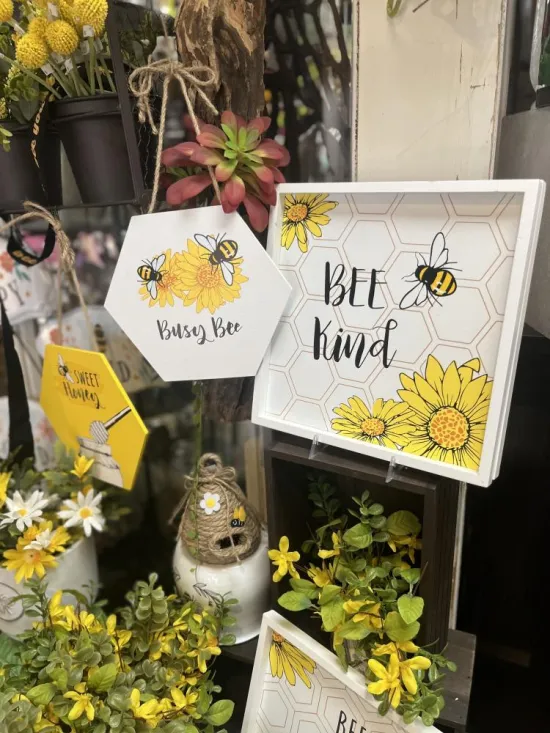 Birds and Insects