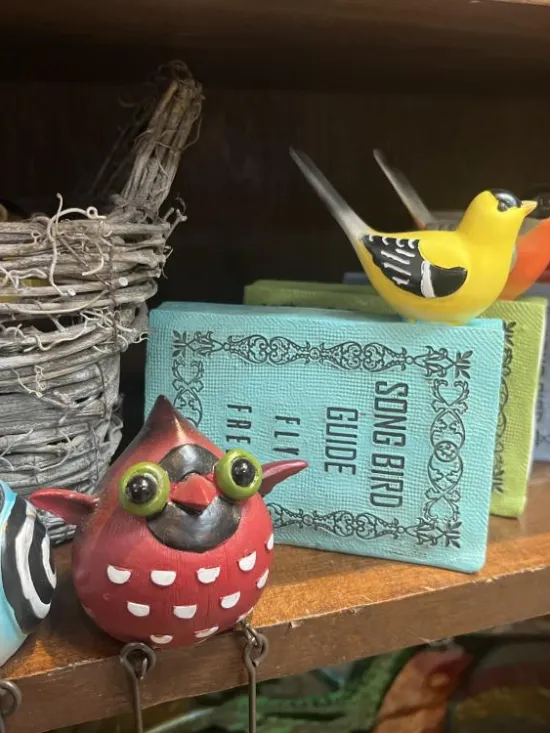 Birds and Insects
