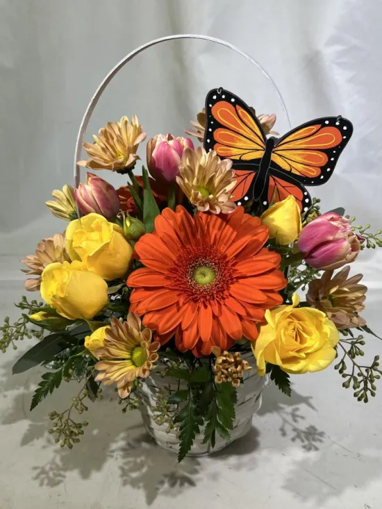 Mariposa