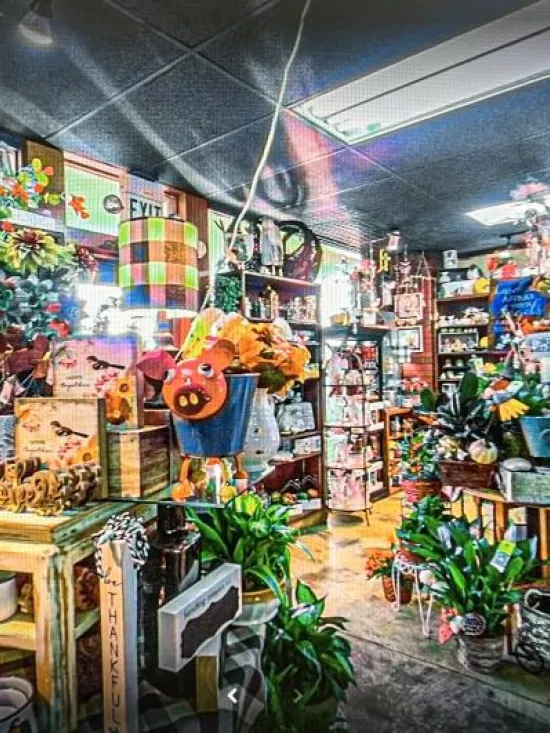 Inside Lilygrass flowers and decor Store  