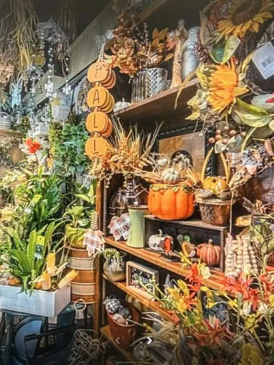 Inside Lilygrass flowers and decor Store  