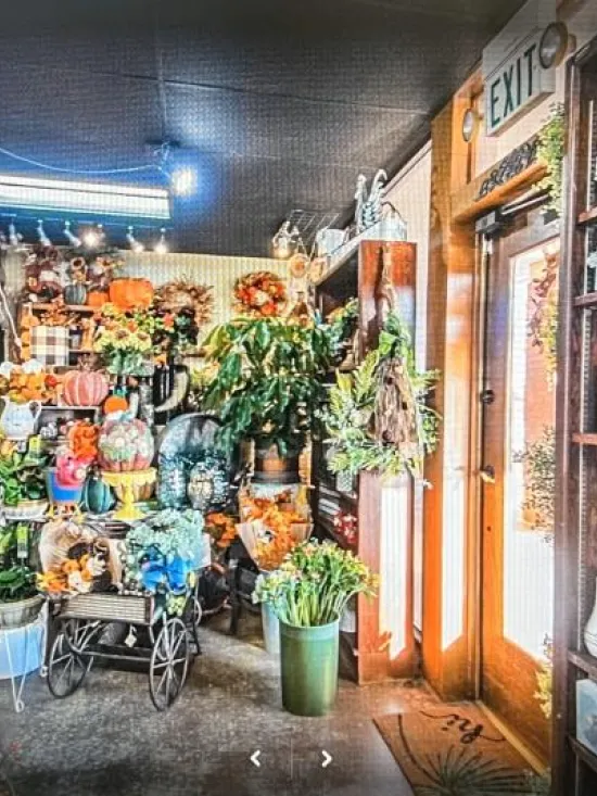 Inside Lilygrass flowers and decor Store  