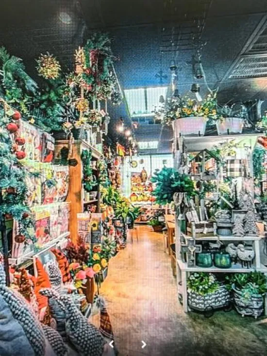 Inside Lilygrass flowers and decor Store  