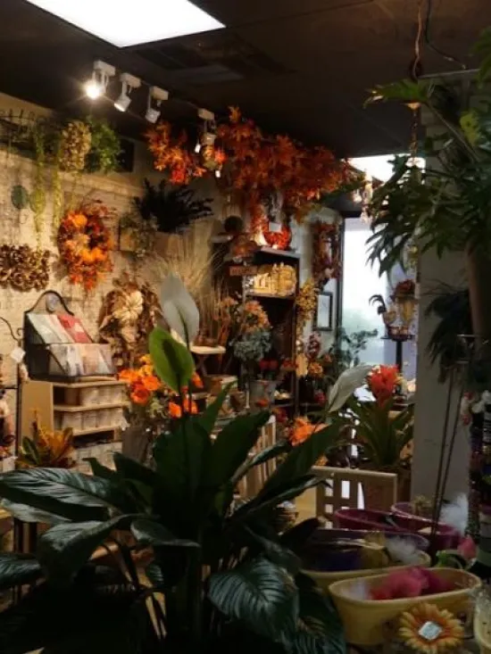 View of the Store