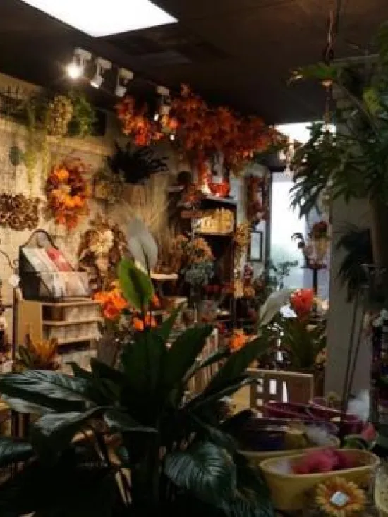 Inside Lilygrass flowers and decor Store