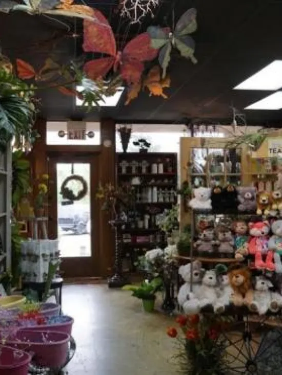 Inside Lilygrass flowers and decor Store