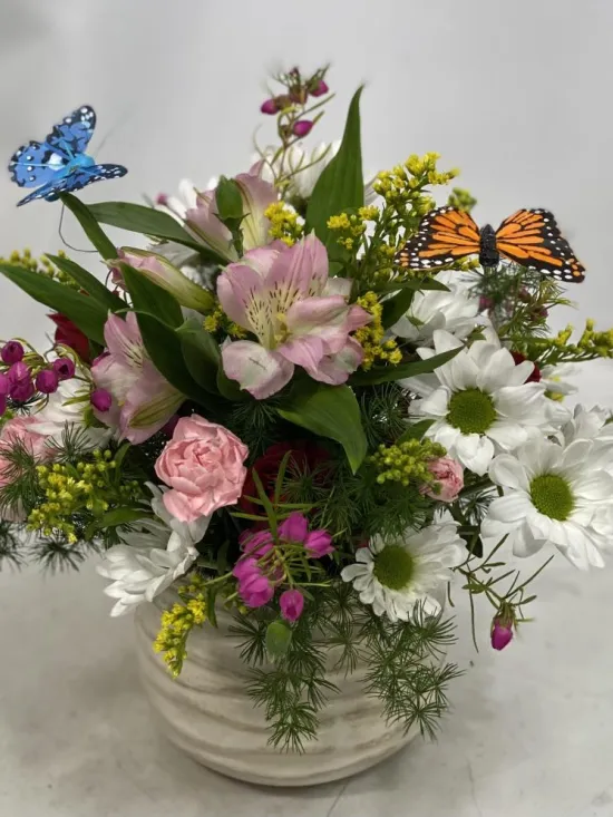 Butterfly