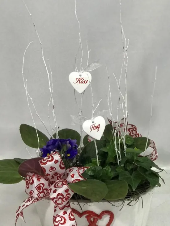 African Violet and English ivy
