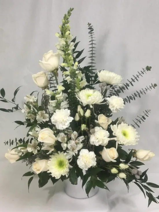 Purity