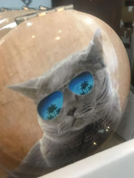 cat movie star compact mirror