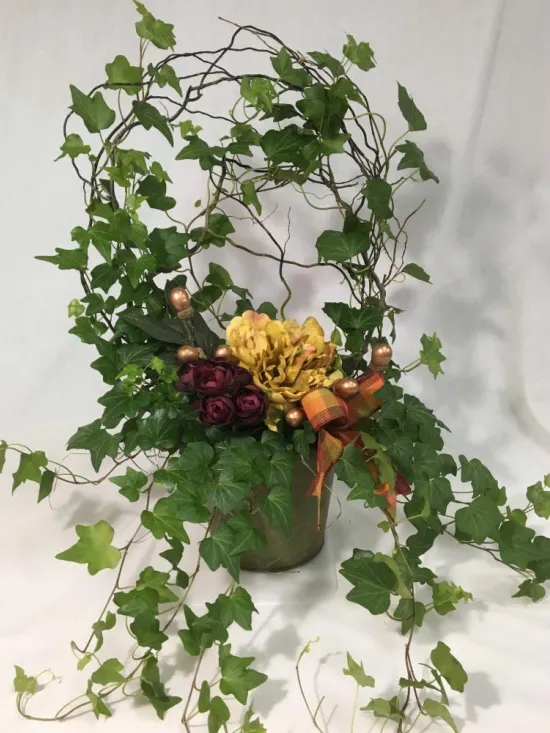 English Ivy