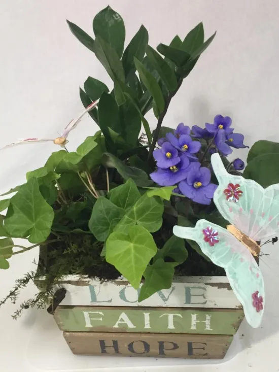 violet
