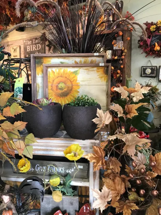 fall
