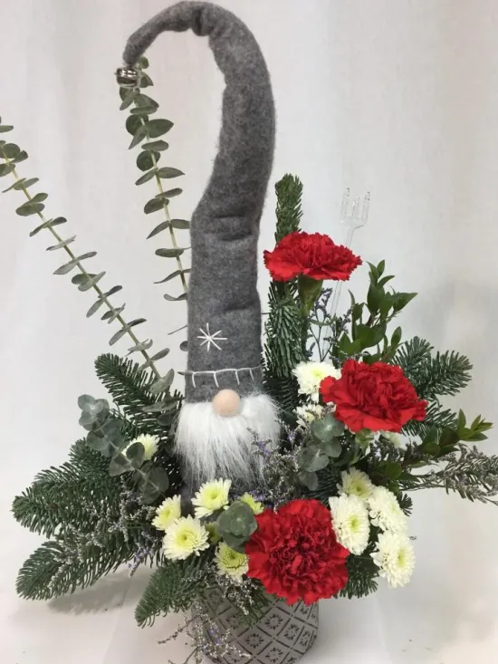 gnome forest