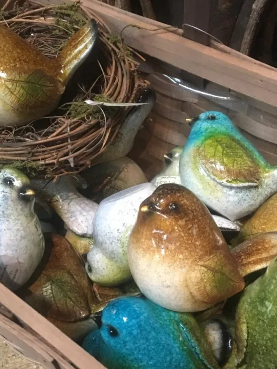 Birds and Insects