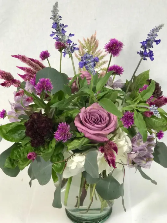 purple passion