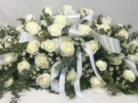 white sympathy